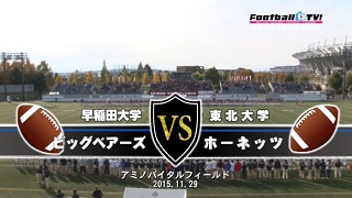 【DVD2枚組】第7回全日本大学アメフト東日本代表校決定戦、早稲田大学ビッグベアーズvs東北大学ホーネッツ