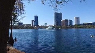 NCAAディビジョン