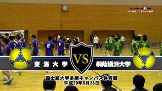 【DVD】平成29年関東学生ハンドボール春季リーグ戦男子1部-2部入替戦、東海大学vs桐蔭横浜大学
